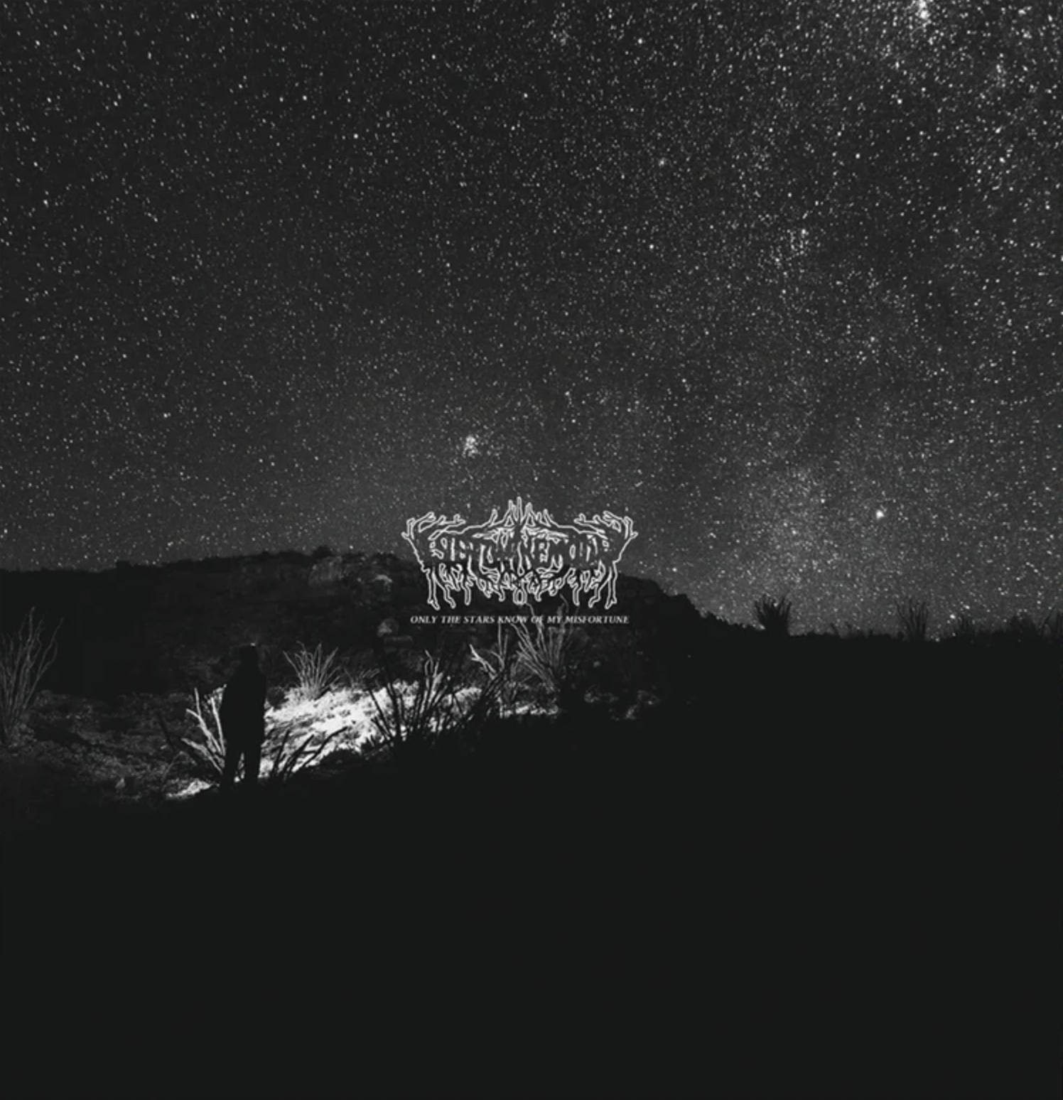 Screen Shot 2024-09-20 at 3.09.54 PM